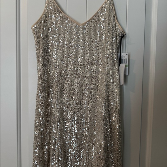 Elegant Champagne Sequin Dress - Picture 1 of 10